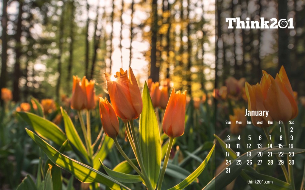Think201 Jan calendar-06
