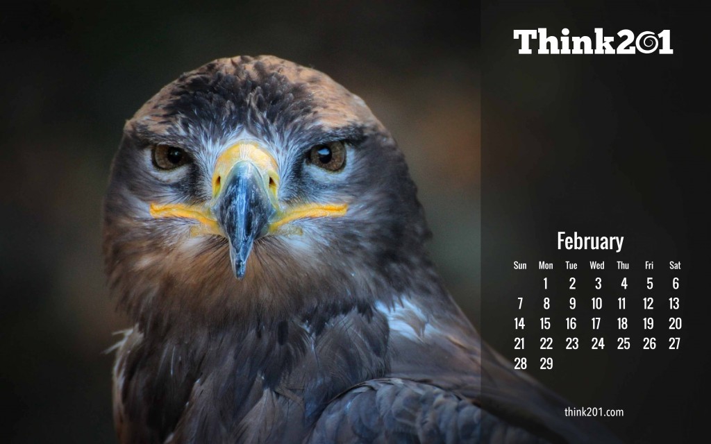 think201-feb7